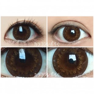 FLANMY Orange Brownie 10片裝